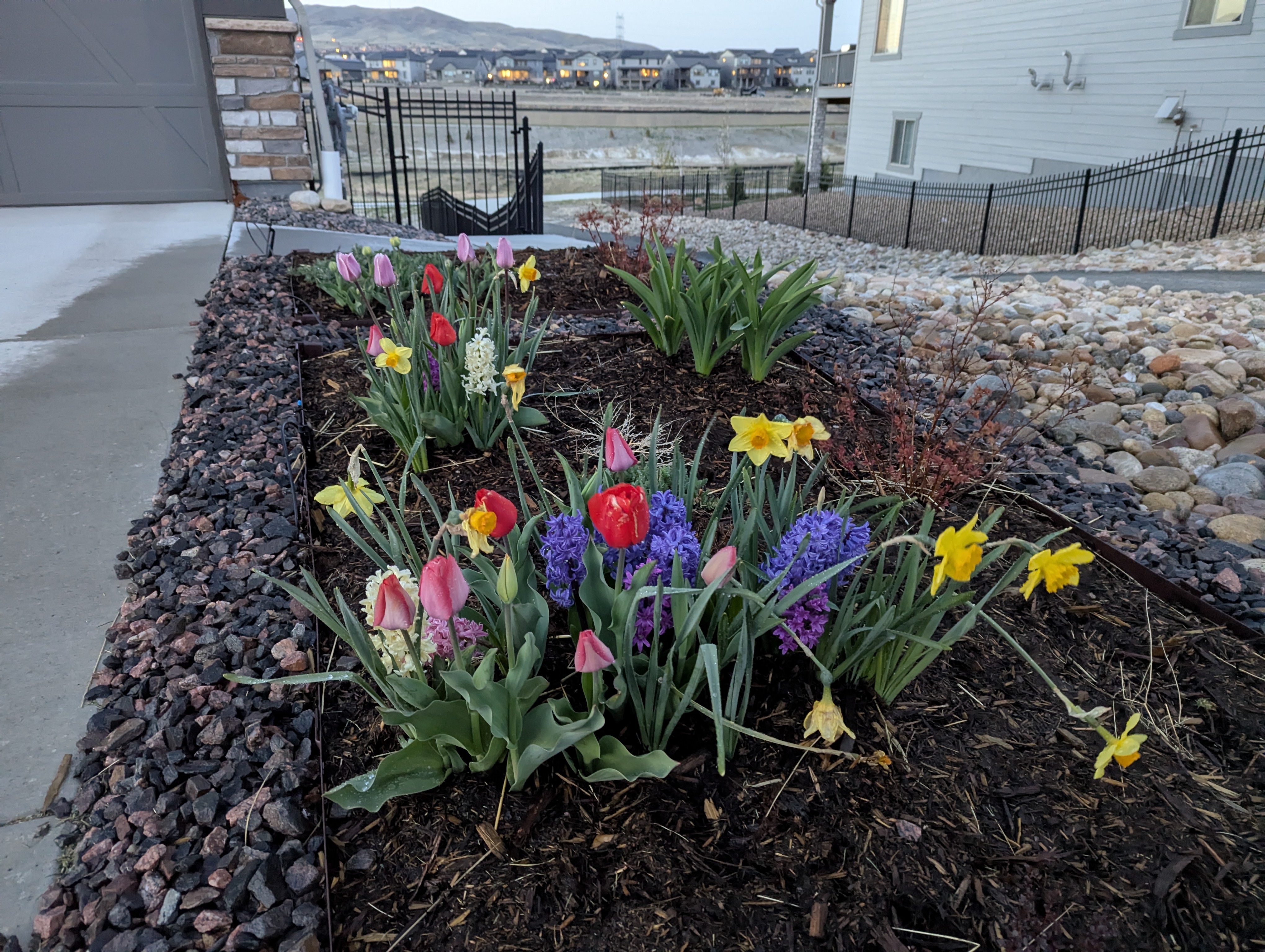 Garden, Flowers, Morrison, Colorado